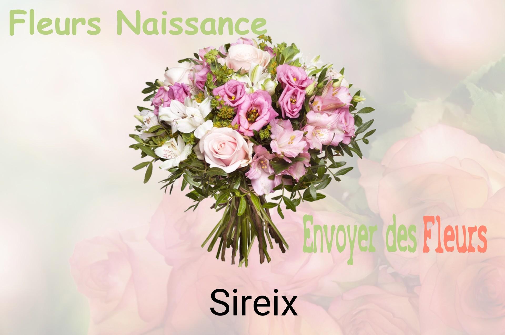 Bouquet de fleurs de naissance livré à Sireix