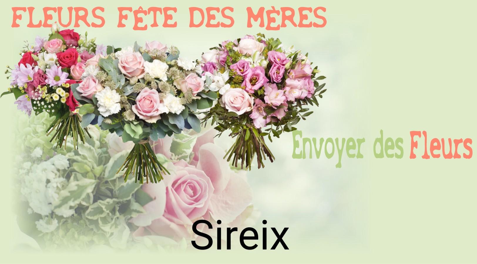 Bouquet de Fête des Mères livré à Sireix
